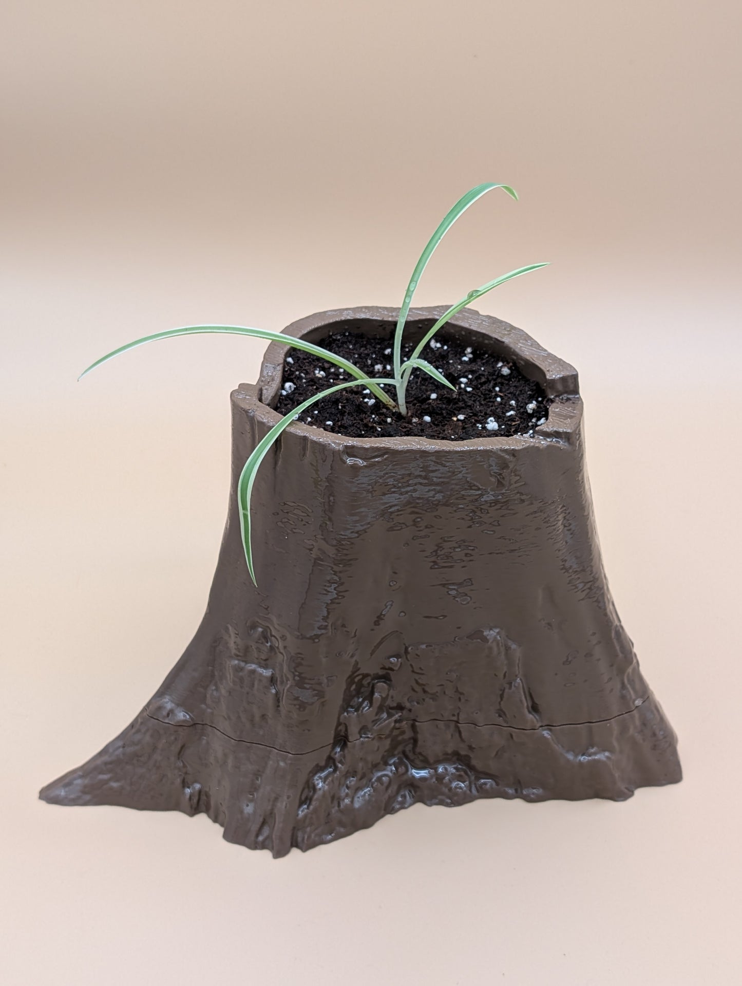Stump Planter