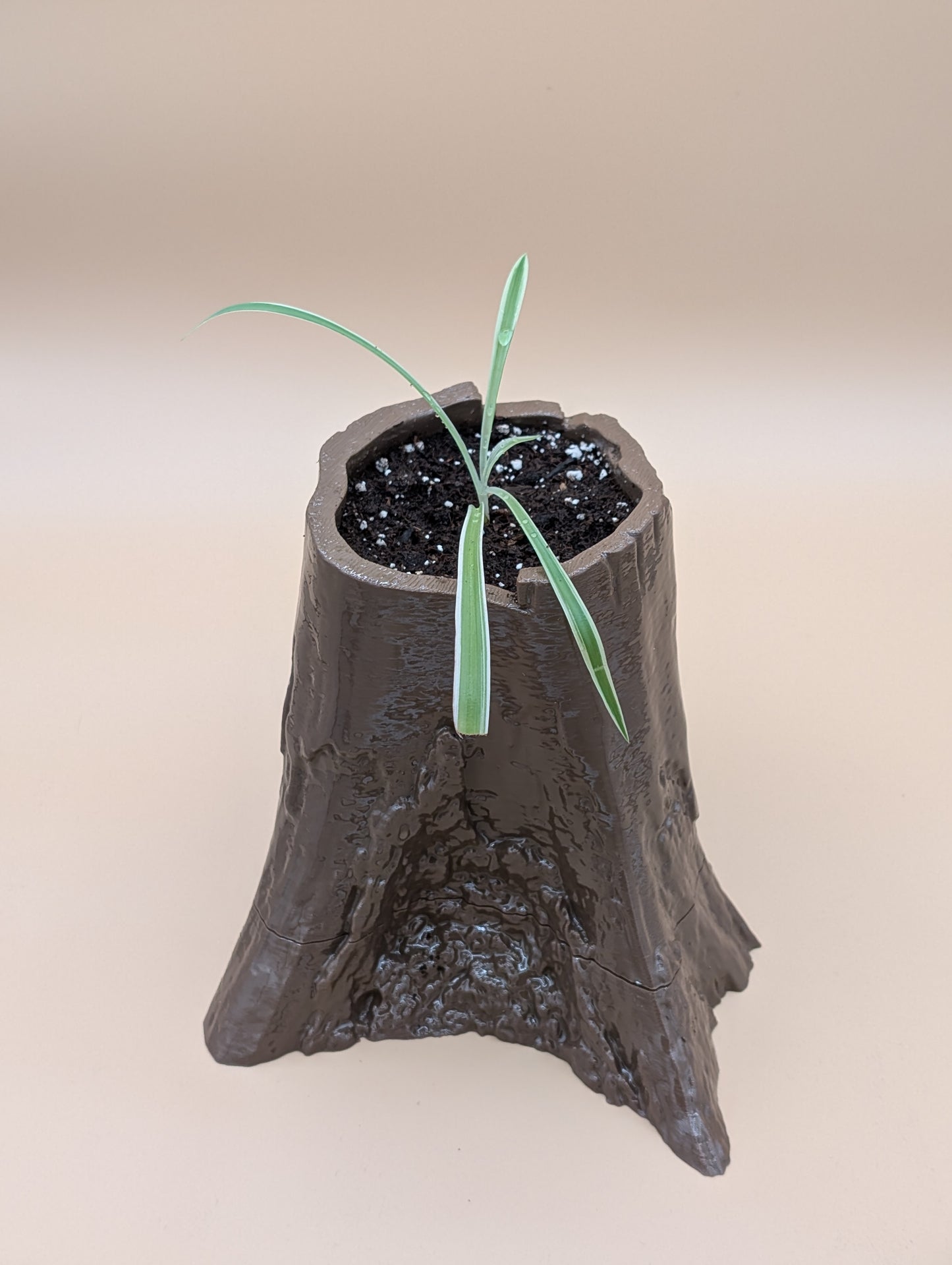 Stump Planter